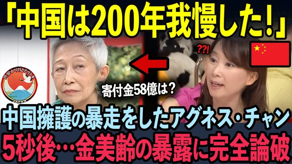 maxresdefault-2-1024x576 【海外の反応】寄付金58億円、80%超を横領!日本を侮辱し中国擁護するアグネスチャンが5秒後…金美玲氏の暴露に完全論破された状況